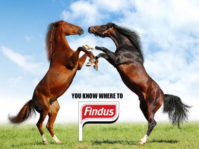 6a0120a8b67743970b017ee86b2fd4970d-800wi-7