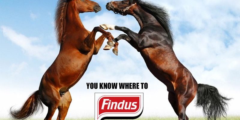 6a0120a8b67743970b017ee86b2fd4970d-800wi-7