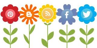 6a0120a8b67743970b019b00bf447f970b-320wi-3