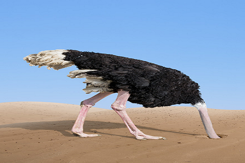 Transformation-digitale-b