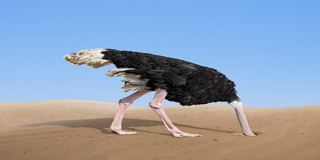 Transformation-digitale-b