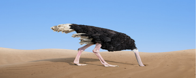 Transformation-digitale-b