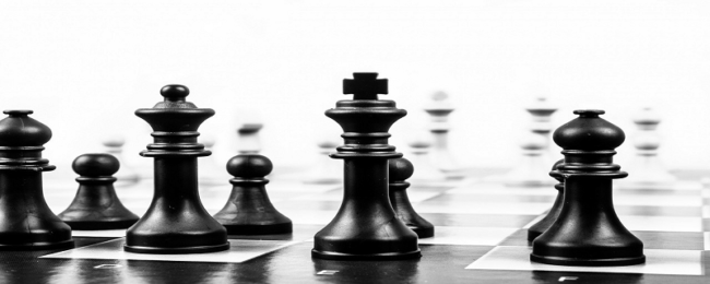 chess-800 320