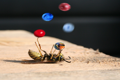 directeur marketing externalisé